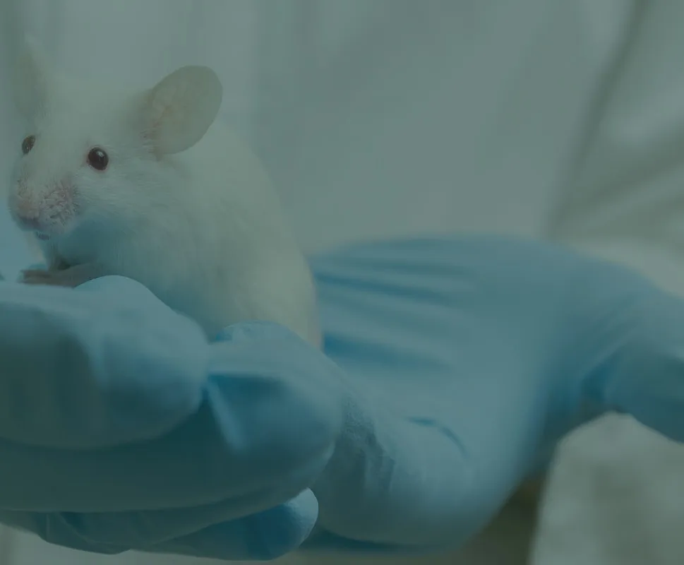 Puntos finales humanitarios en la experimentación animal