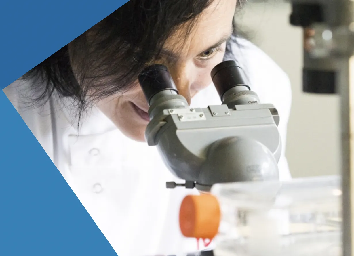 Asistente para el diseño experimental